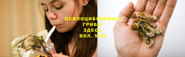 прущая мука Баксан