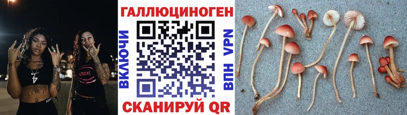 Галлюциногенные грибы мицелий  MEGA ссылки  Тихорецк 