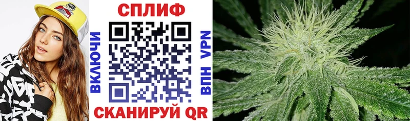 Каннабис OG Kush  Тихорецк 